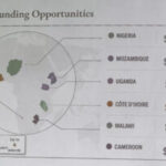 U.S. Government Mislabels Map of African Countries at AIDS Conference