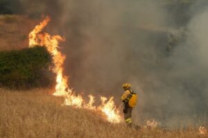 How Europe can make its landscapes more fire-resilient