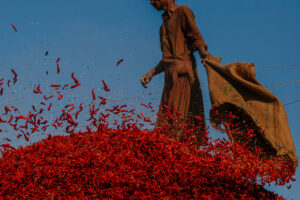 Extreme Heat Comes for the Red Chile Capital of Pakistan