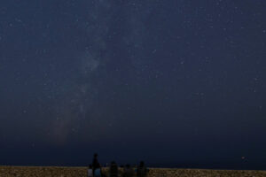 The Perseid Meteor Shower Is Peaking. Here’s How to Watch.
