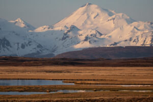 Court Blocks Road Through Izembek National Wildlife Refuge