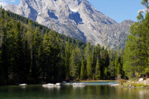 6 Wild Swimming Spots For Open Water Escape in the U.S.