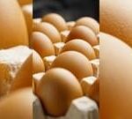 Are eggs safe to eat? Your salmonella questions answered