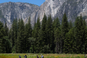 Trump Administration Looks to Give a Swath of Yosemite Park to Developer