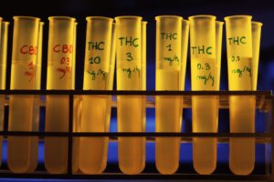 THC in cannabis may reduce nightmares in people with PTSD