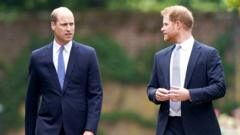 Will Harry's return heal deep-rooted rift with William?