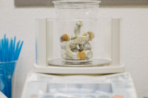 Psilocybin May Prevent Nerve Damage Caused by Chemotherapy, Study Finds